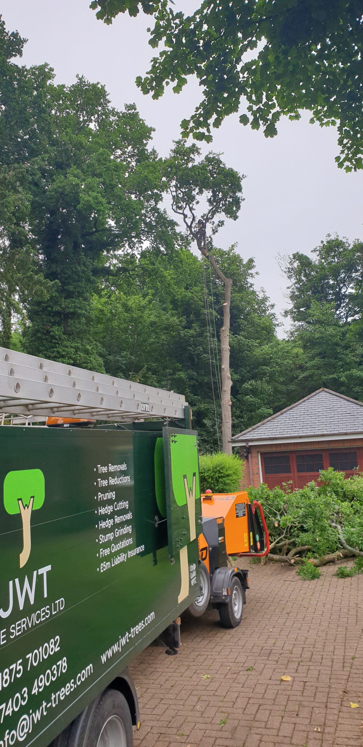 Oak Removal Dalkeith
