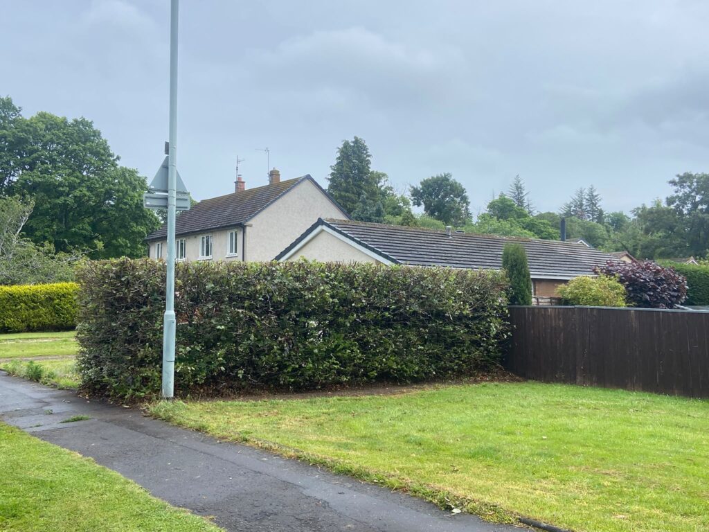 Hedge reduction Dalkeith